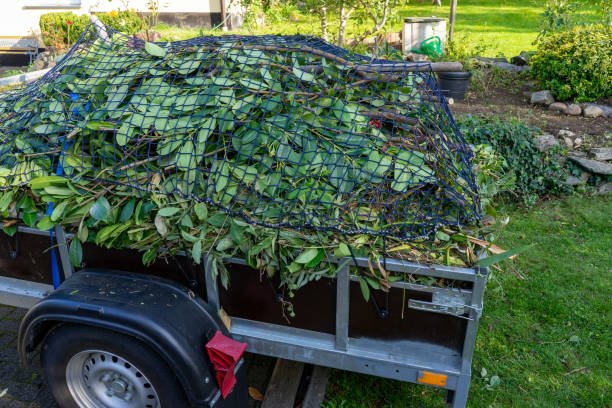 Best Carpet Removal and Disposal  in North Vernon, IN